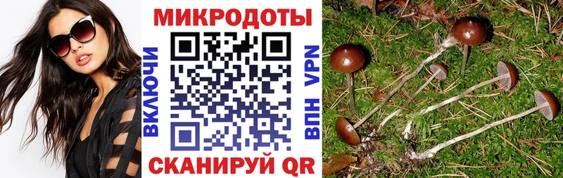 Псилоцибиновые грибы MAGIC MUSHROOMS  ОМГ ОМГ ссылки  Игарка  магазин продажи наркотиков 